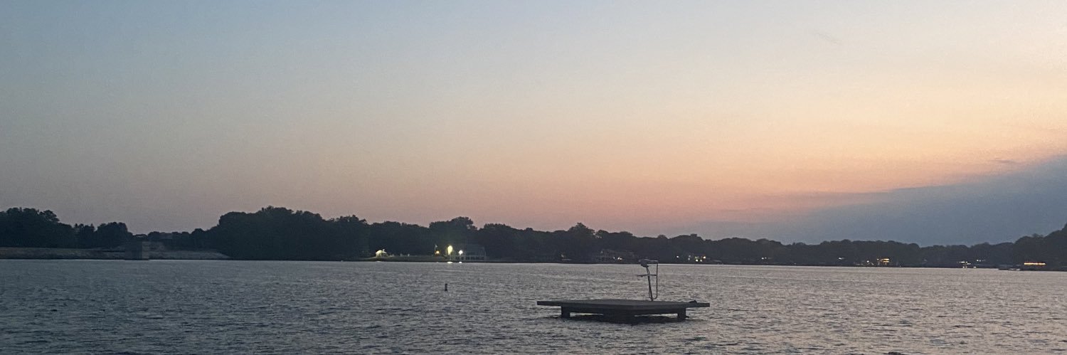 chellerbell's profile banner image