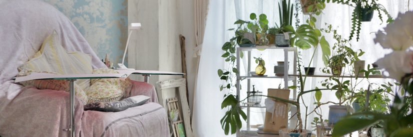 Lilybenail's profile banner image