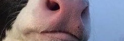 dodash31's profile banner image