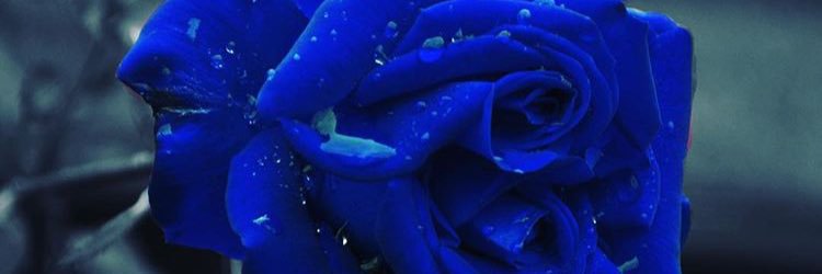 T_tequilaaa's profile banner image
