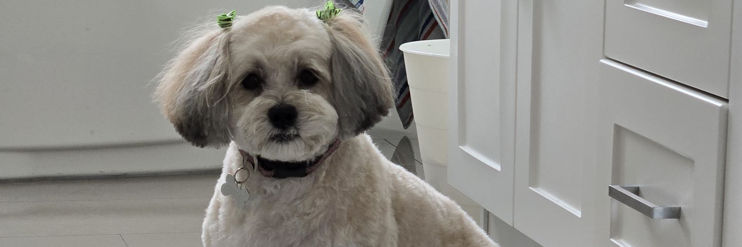 x-Rob 🇨🇦 🏒 banner