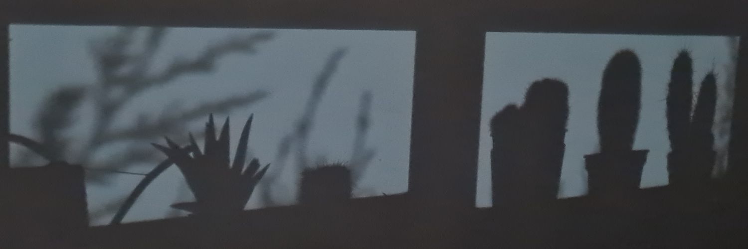 _leaah1's profile banner image