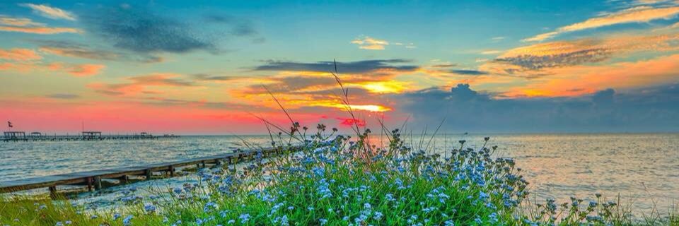 irami5179's profile banner image