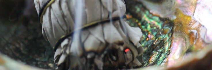missperro's profile banner image