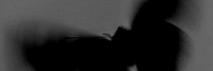 leonoraurel's profile banner image