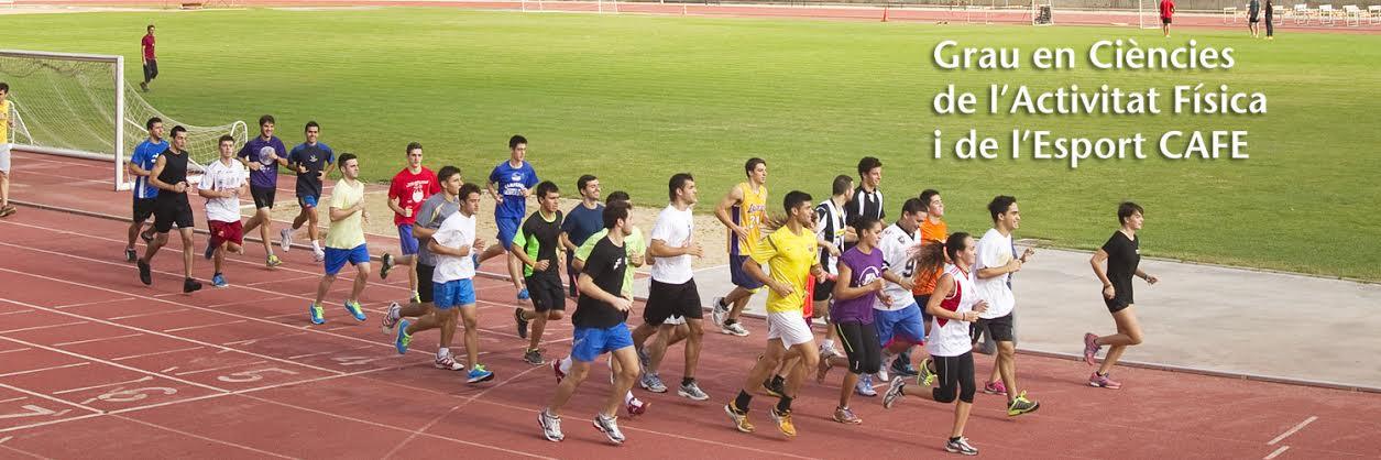 Blanquerna CAFE banner