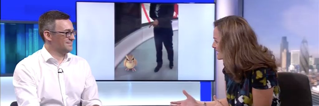 Dmitry Bagrov banner