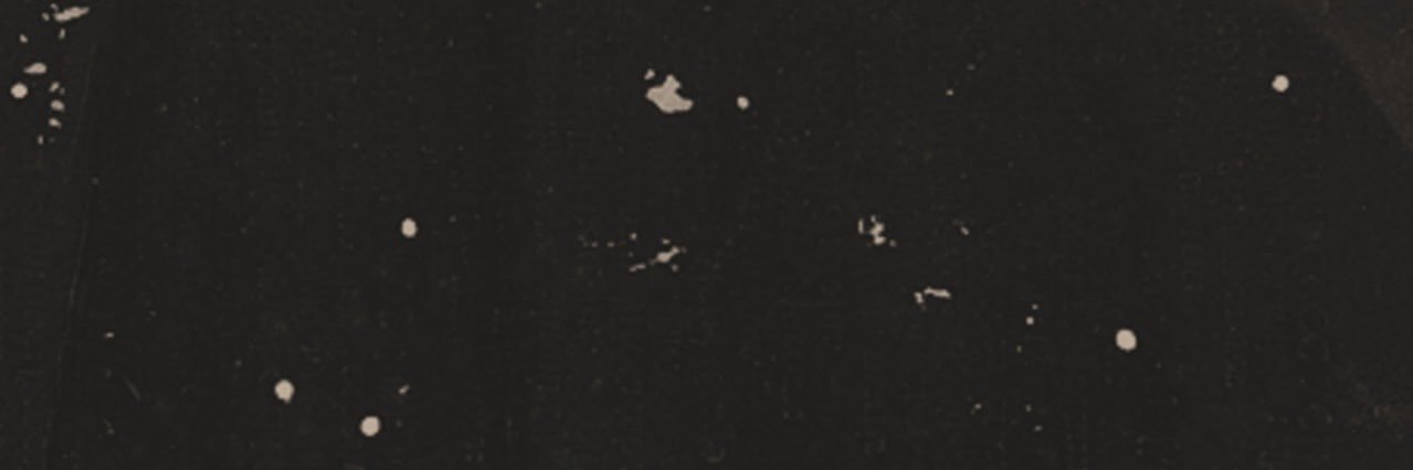 AndreaxLara's profile banner image