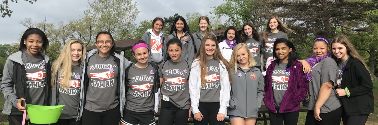 SVHScheer's profile banner image