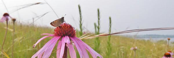 ErikRunquist Profile Banner