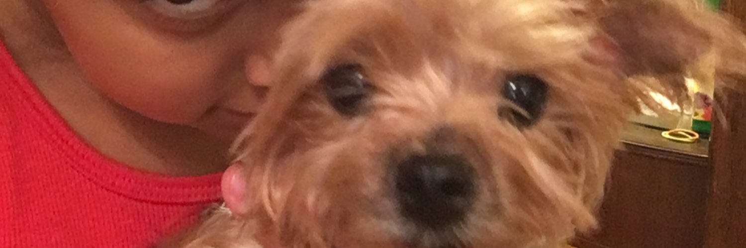 Immaculate___'s profile banner image