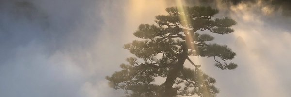 M_Reiterer Profile Banner