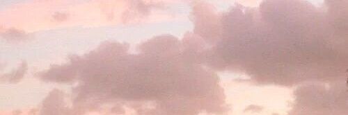 imaro banner