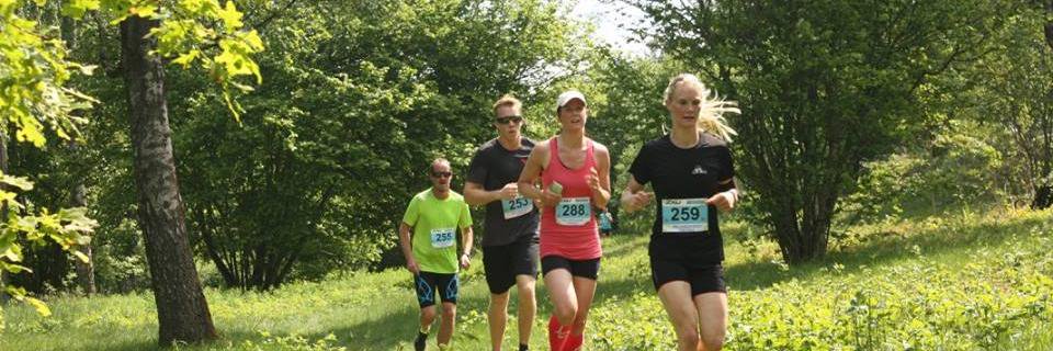 Hallandsleden's profile banner image
