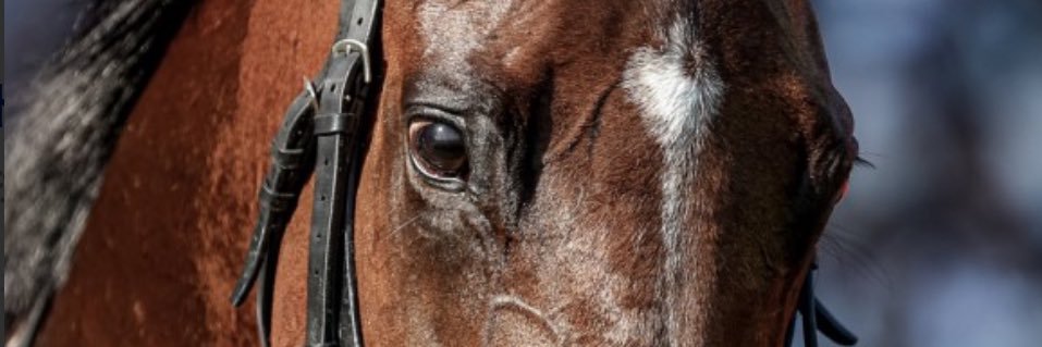 rstman625's profile banner image