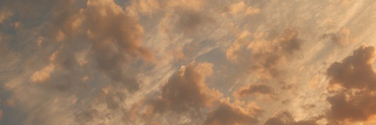 selcarious's profile banner image