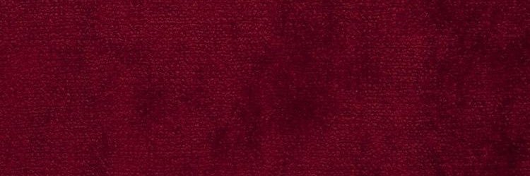Noah banner