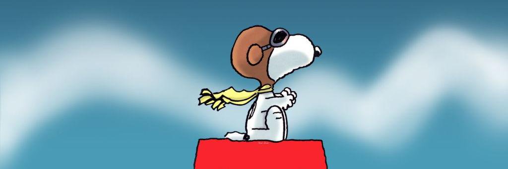 roautoco's profile banner image