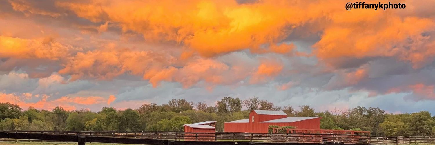 CYourRealtor's profile banner image
