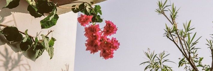 GmrWow7's profile banner image