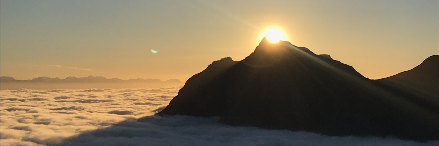 zoyeeet's profile banner image
