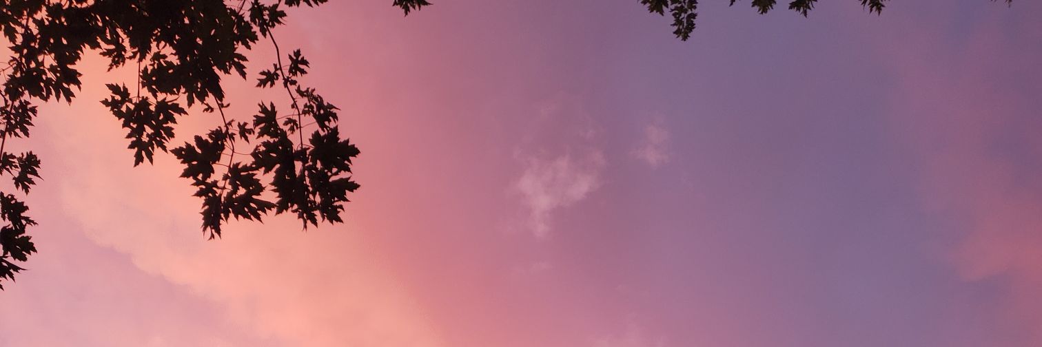 kNembot's profile banner image