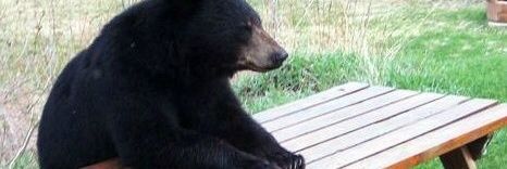 I_Be_Spoo's profile banner image