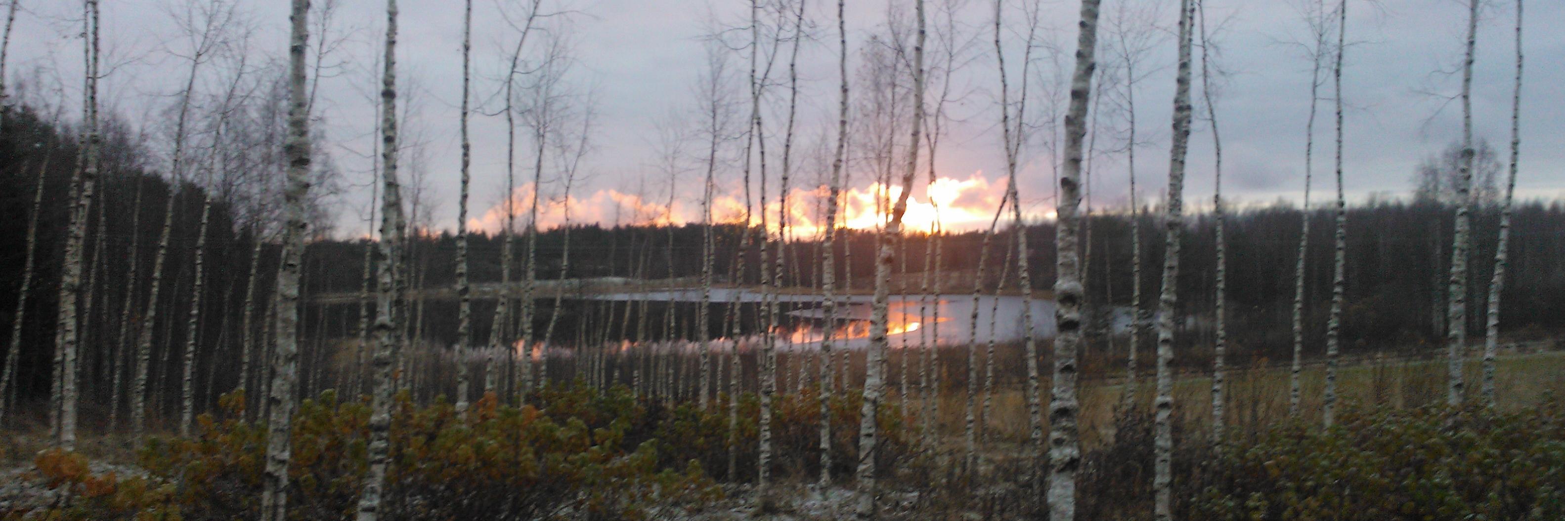 FlinkAnssi's profile banner image
