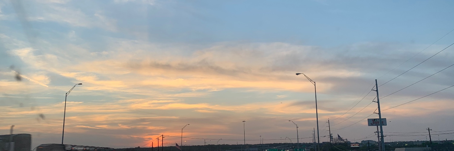 HowdySkunk's profile banner image