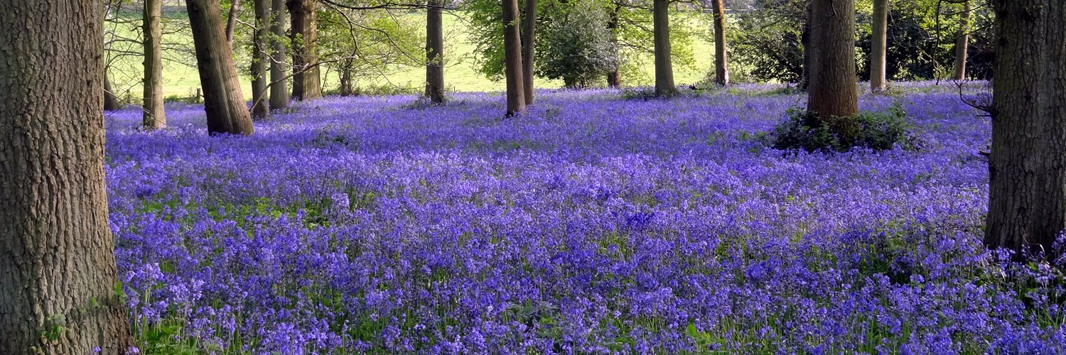 Ian Davis (@id1om@mastodonapp.uk) banner