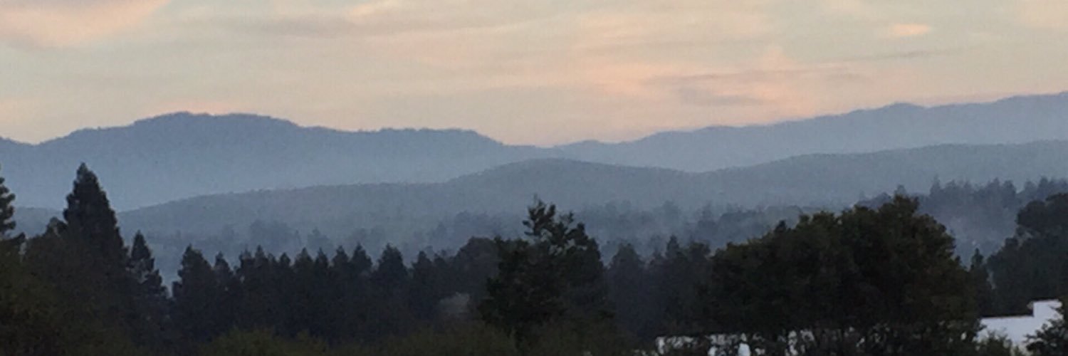 Demetrius Ball (he/him) banner