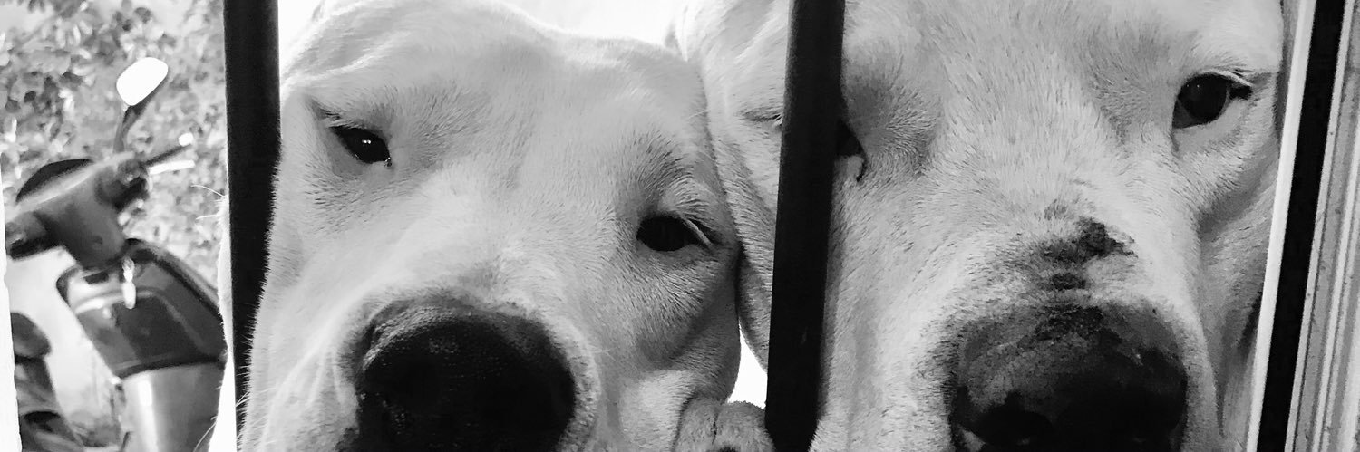 valenrossi6's profile banner image