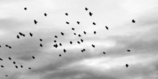 mitchelsjgdr's profile banner image