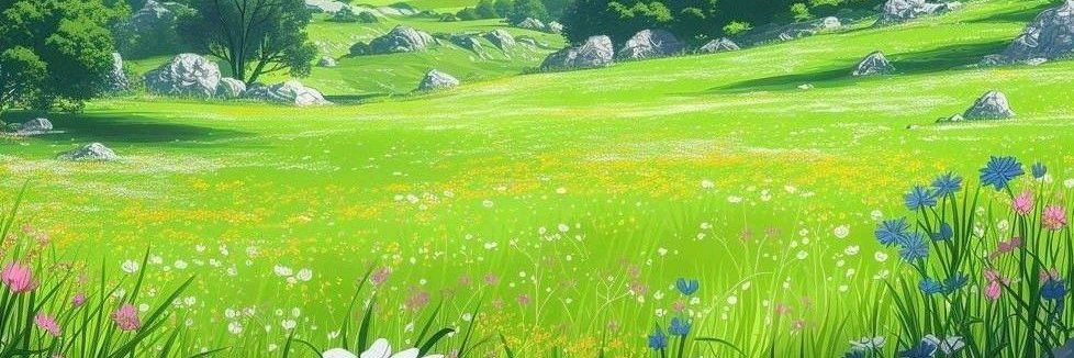 baybasbedirhan's profile banner image