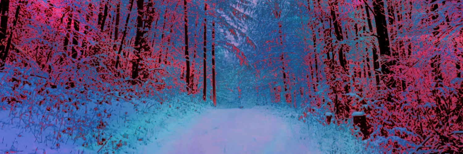 WenRc's profile banner image