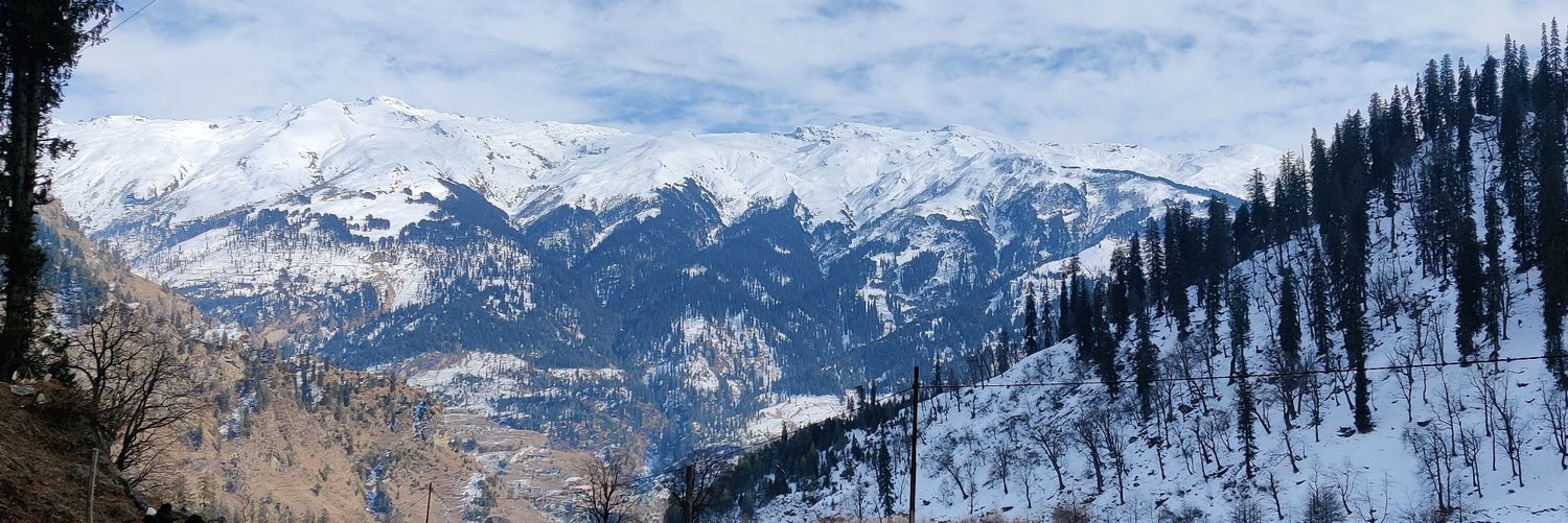 paneerkachodi's profile banner image