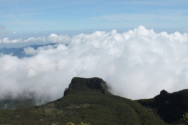 tyopileng's profile banner image