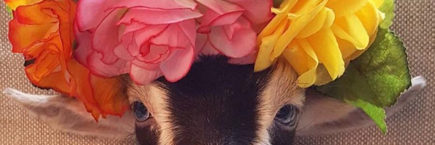 bdxrielis's profile banner image