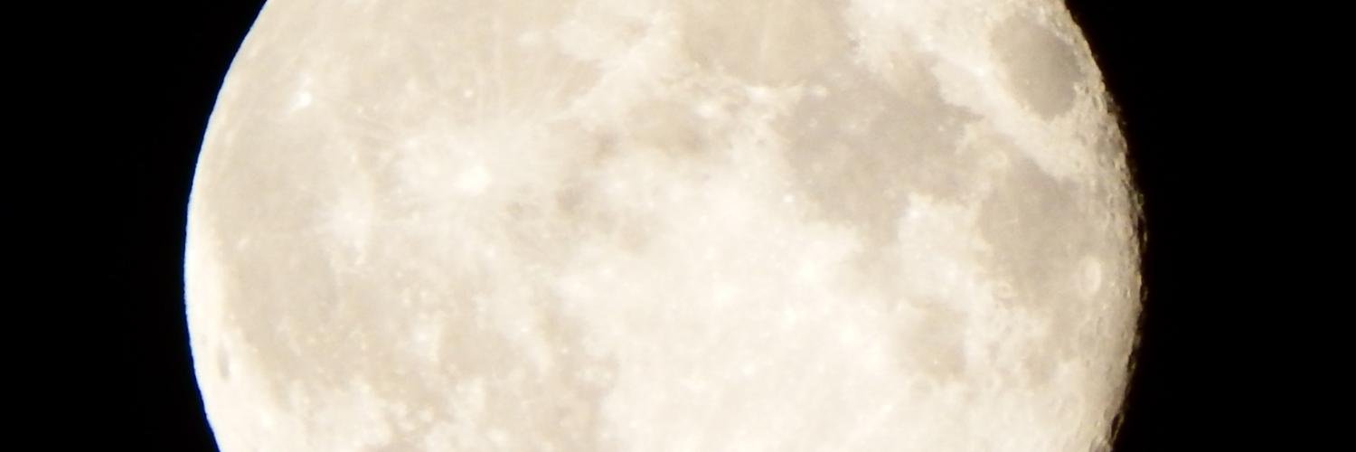 micalml's profile banner image