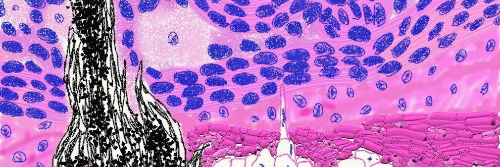 Brett Baskovich, MD banner