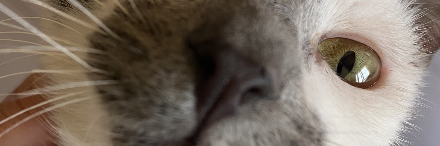 benitezaabi's profile banner image