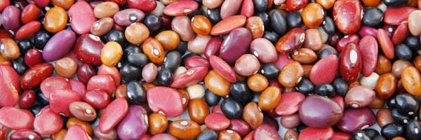 beancounterboro's profile banner image