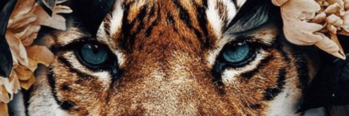 _theCoachReed's profile banner image