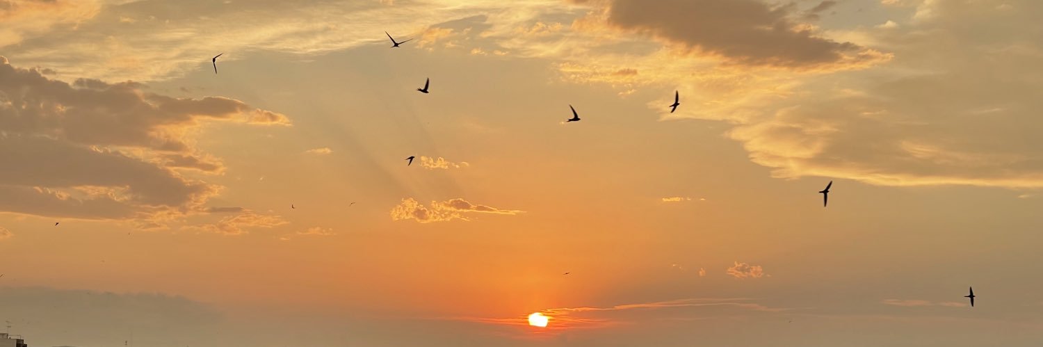 a_navarro_'s profile banner image