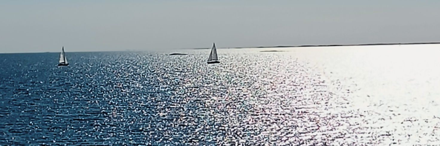 Katri Kimari 🐕 banner