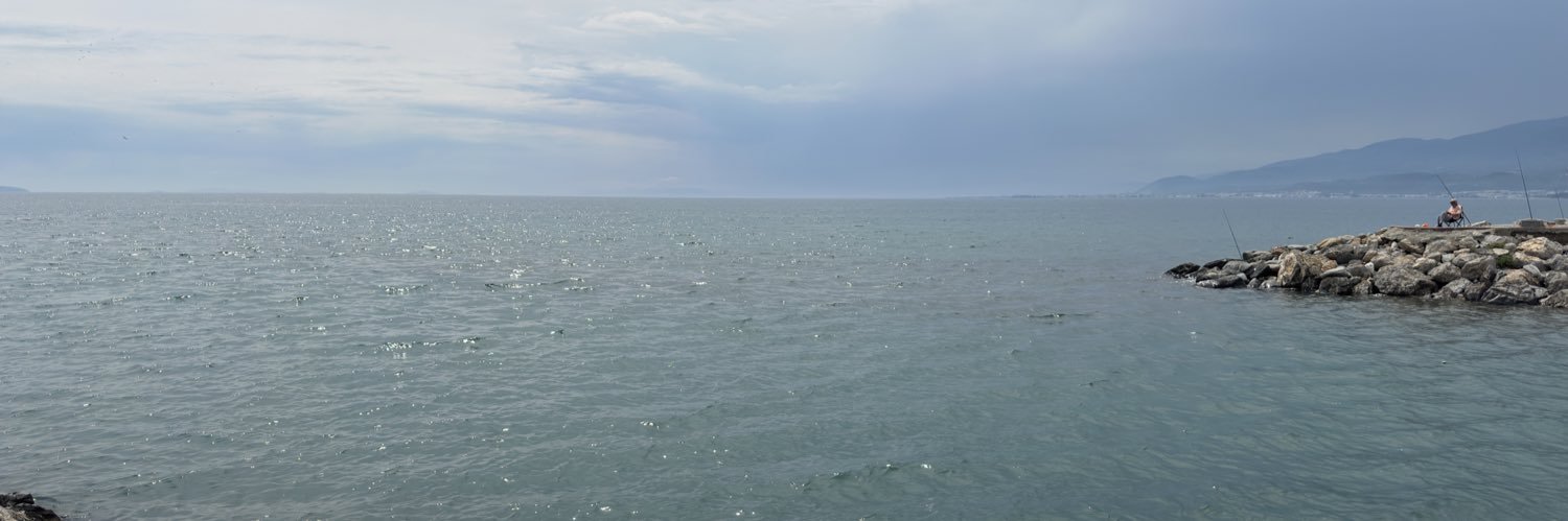 BlueBettyblues's profile banner image