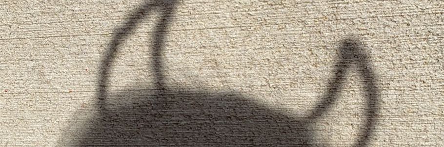 KendraKendrax's profile banner image