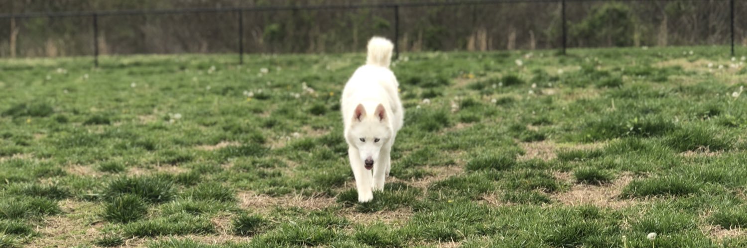 Maggs_Lynn's profile banner image