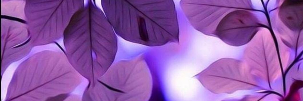 LiliManana's profile banner image