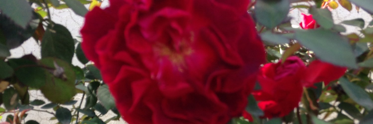 987Rabail's profile banner image